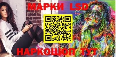 гидропоника Долгопрудный