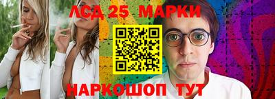 гидропоника Долгопрудный