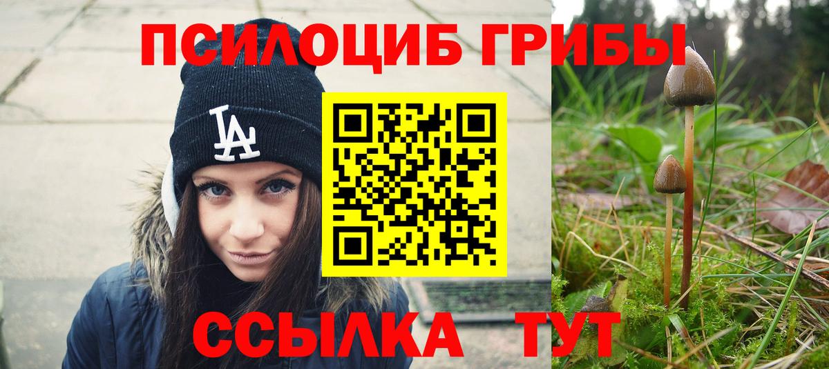 Псилоцибиновые грибы прущие грибы  Вход с VPN  Галлюциногенные грибы GOLDEN TEACHER  цены наркотик  Белебей 